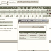 web timesheet with document attachments