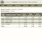 web timesheet report